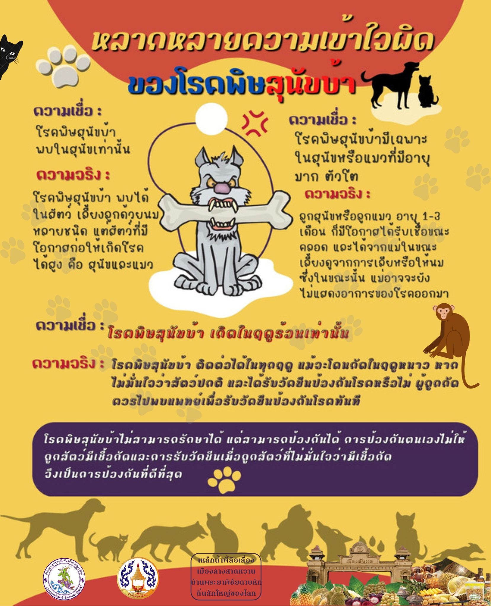 รูปภาพหน้าปก bccb04fc-7ec8-4070-9f41-7131bcd148dc
