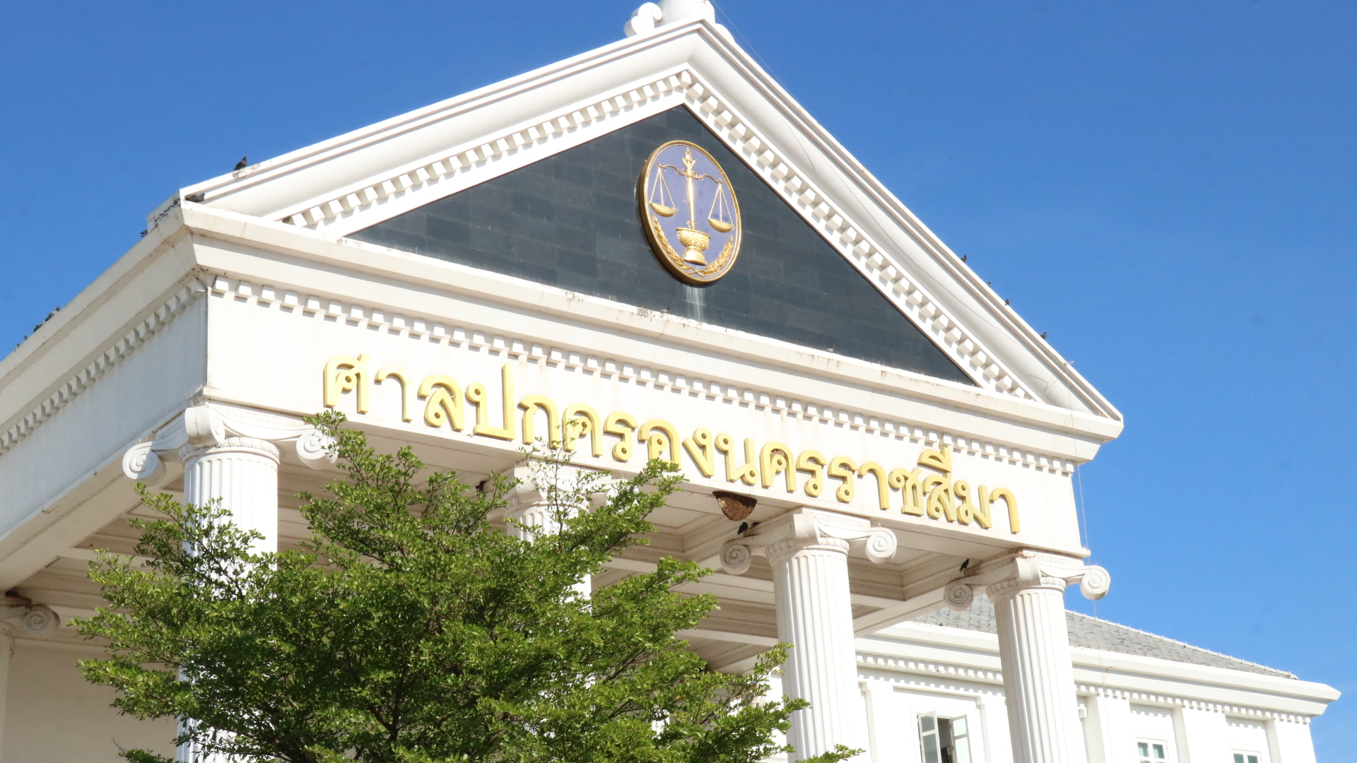 รูปภาพหน้าปก 8ff01a04-0cb5-4f69-b9a1-bf38abfe8f63