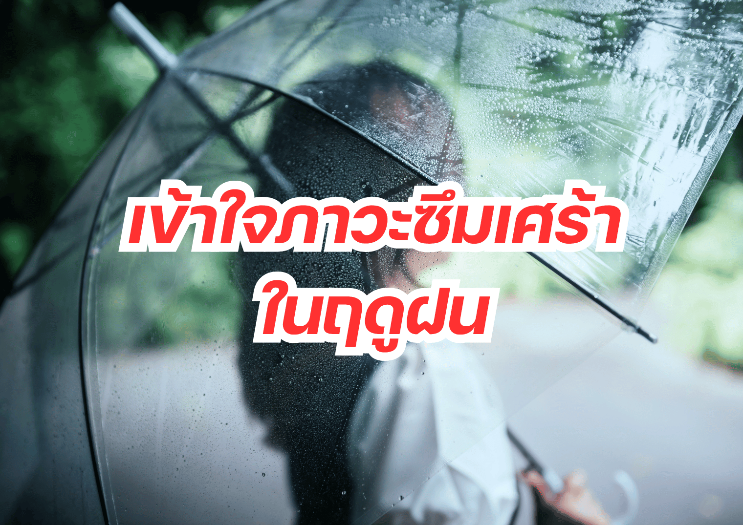 รูปภาพหน้าปก c1f94777-ce3e-493f-88ab-402e0a2d84b2