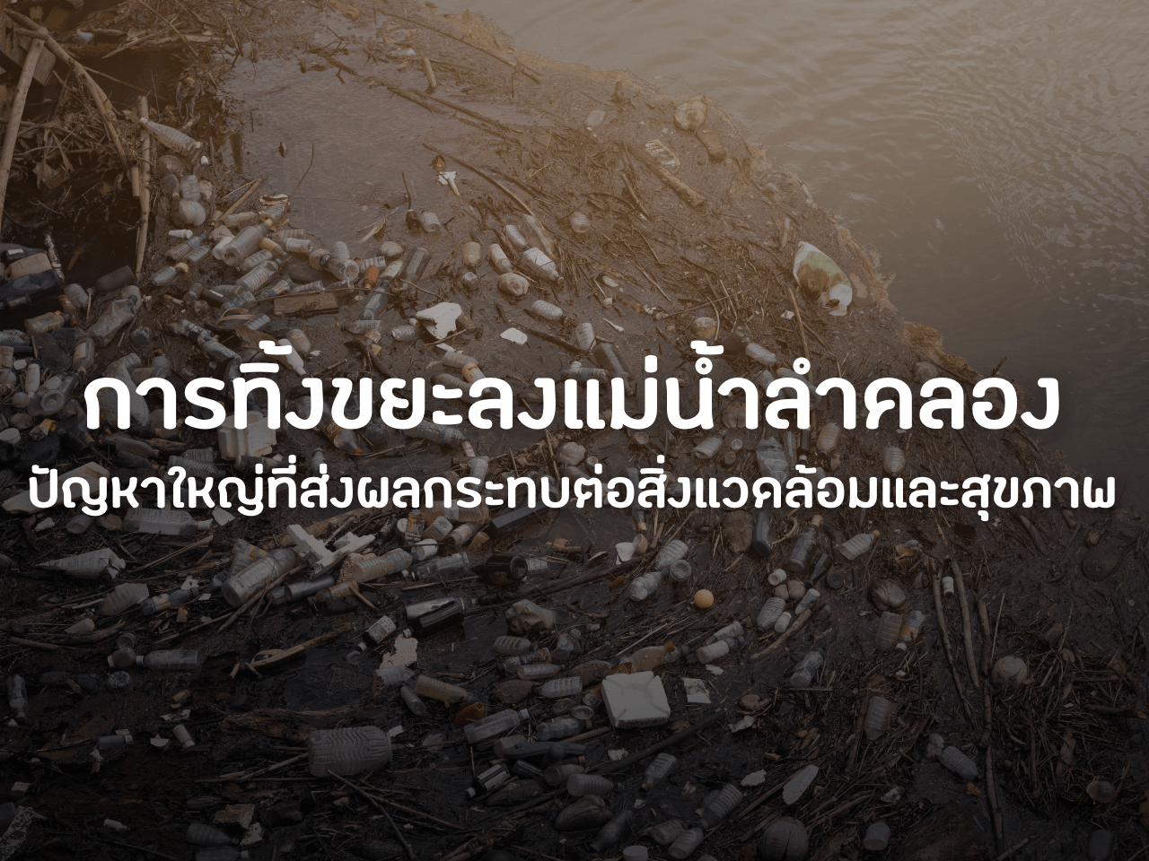 รูปภาพหน้าปก 566addbc-b354-43f7-ba34-59dfff111b8d