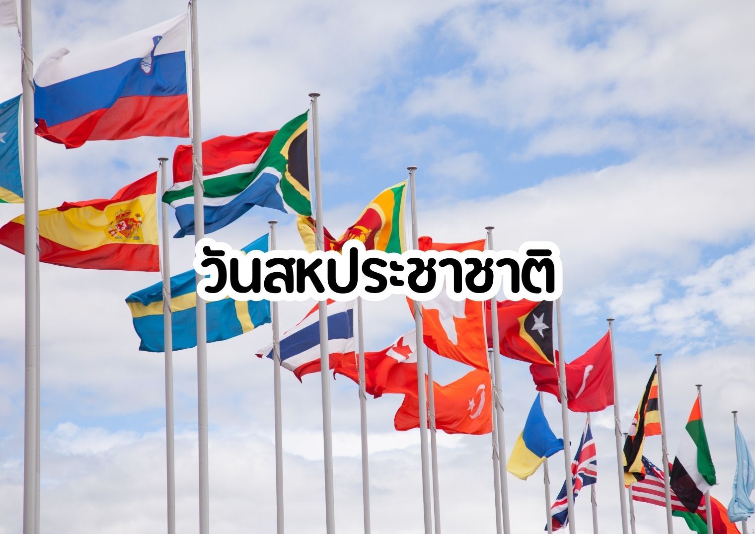 รูปภาพหน้าปก 14e6f8f3-1b4c-4ff9-b30b-6d991e4f5efd