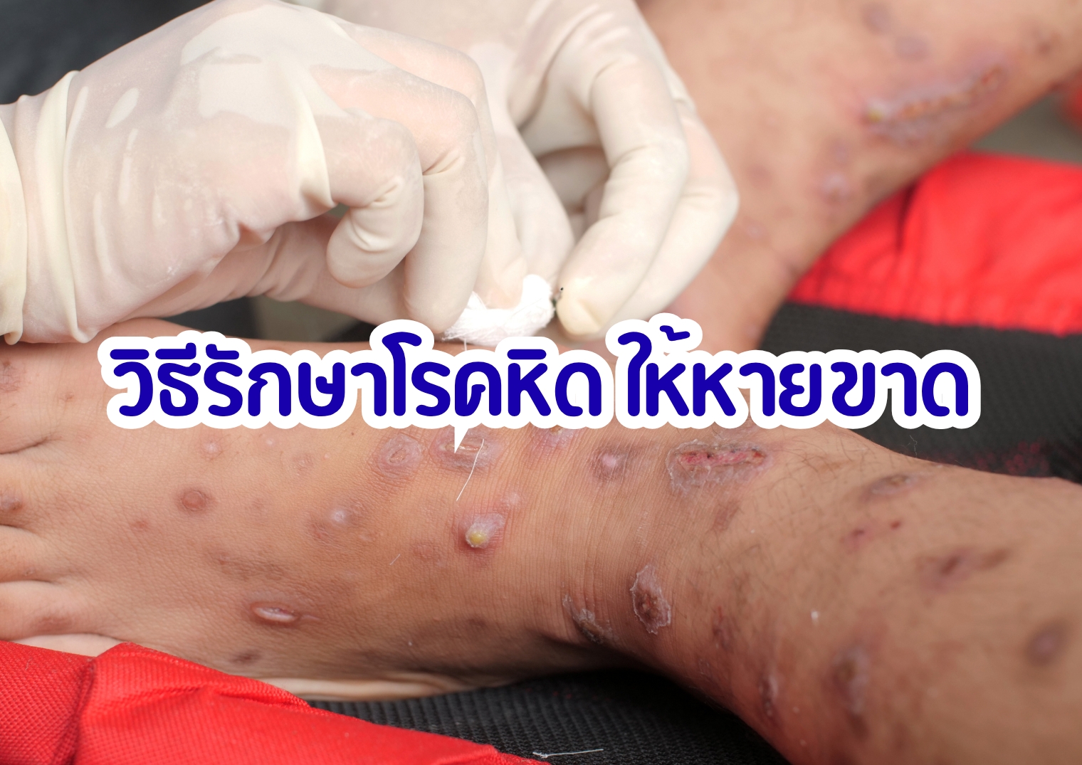 รูปภาพหน้าปก 9f37cfdf-e361-461f-9758-c21f267cbfc1