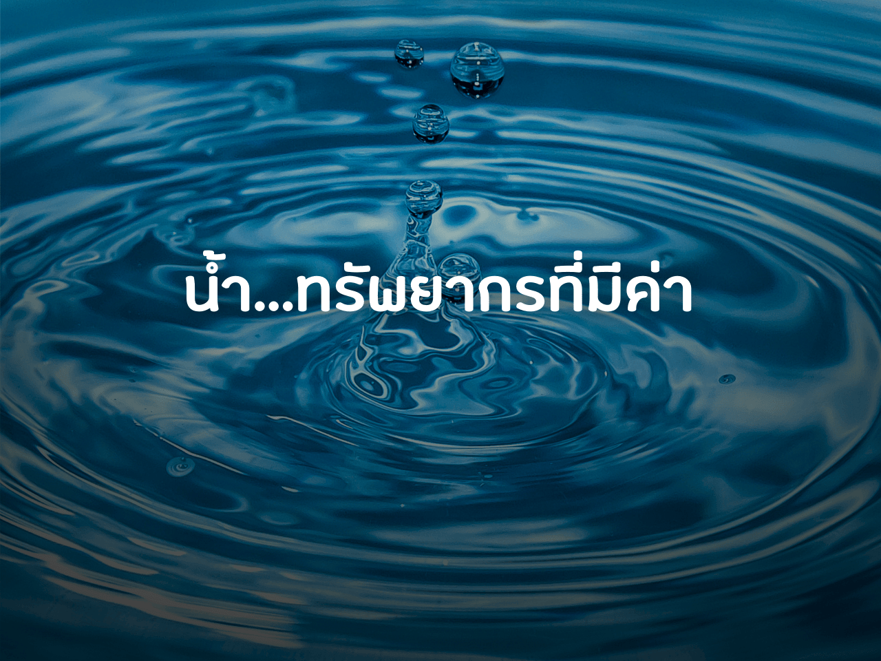 รูปภาพหน้าปก 805b77be-3ee2-4559-87b7-d81cd03fccb5