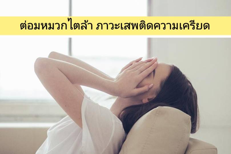 รูปภาพหน้าปก ed734640-1777-475c-8c56-6a4e8770e186