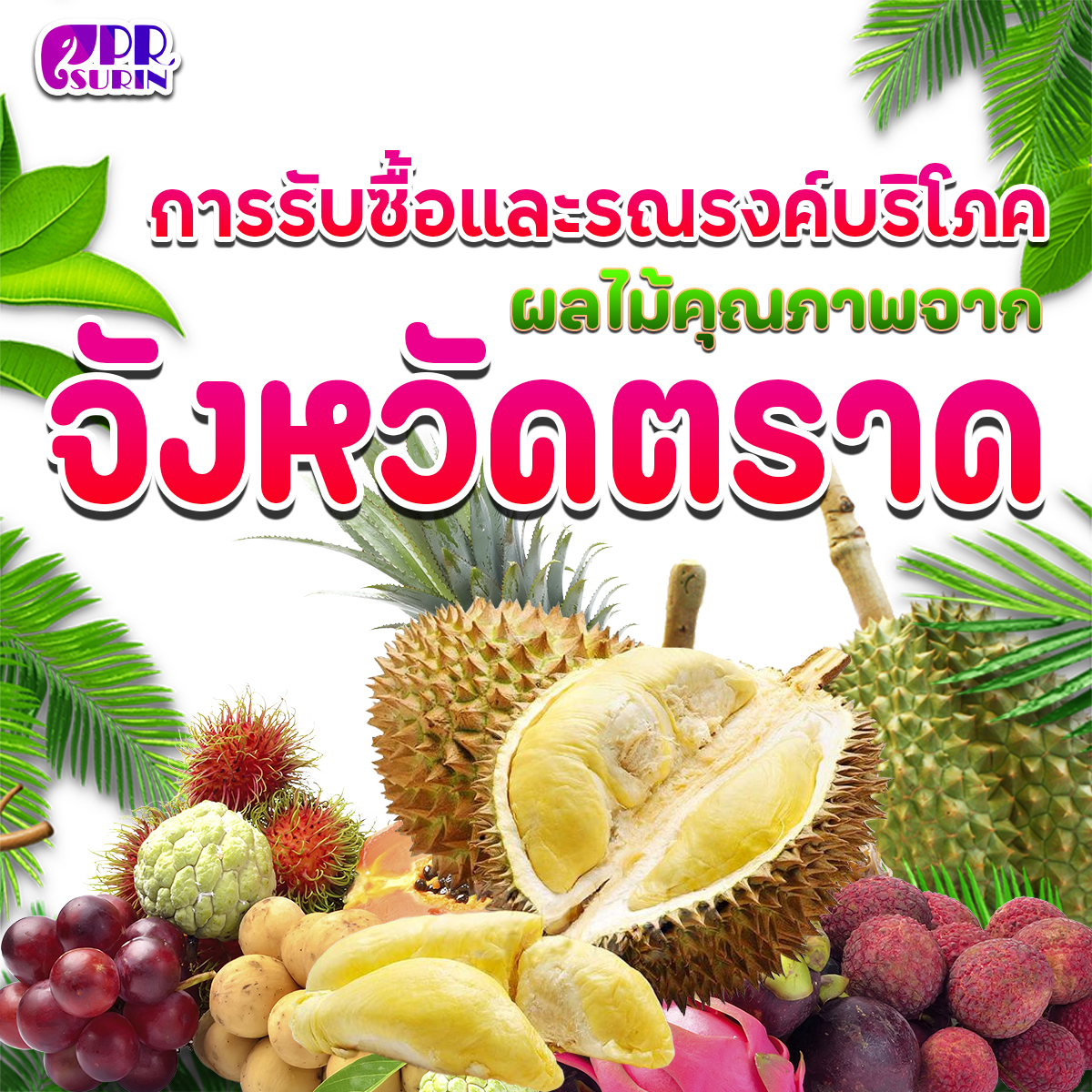 รูปภาพหน้าปก ba874599-2c9a-4d81-81de-c44f16e15b1e