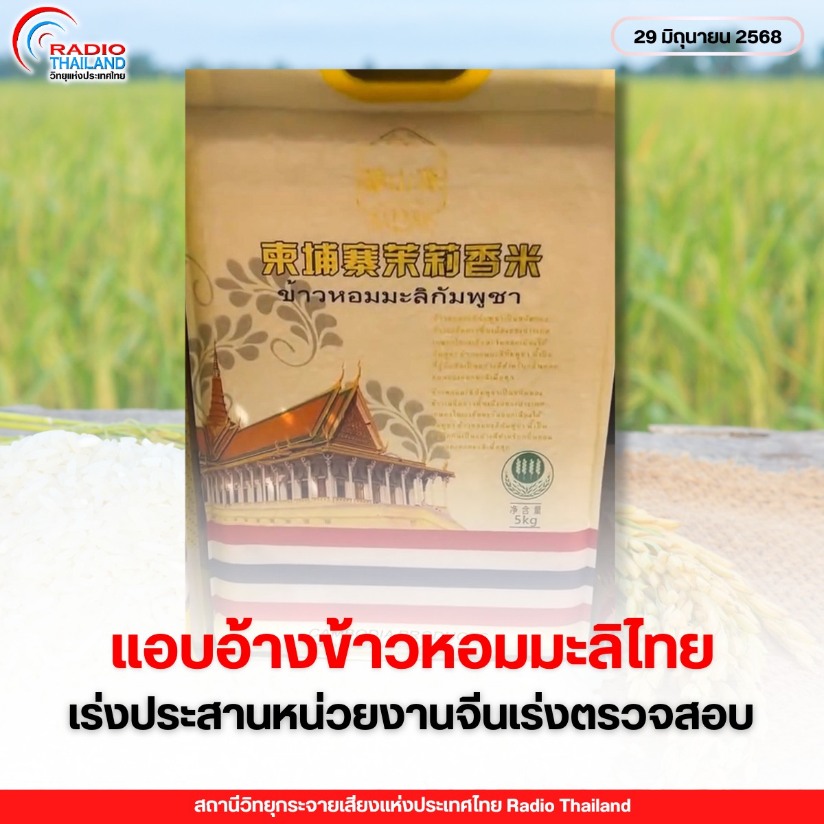 รูปภาพหน้าปก ea526753-cc8d-4272-b516-8f852091bf19