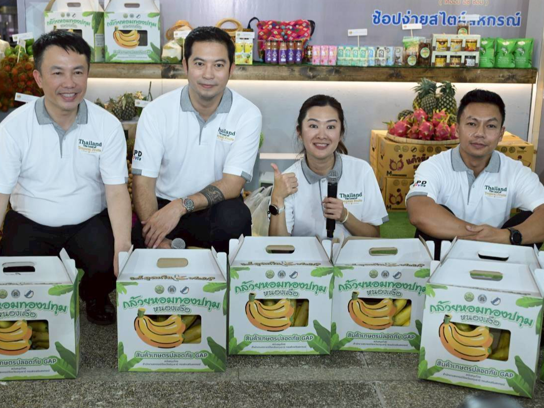 รูปภาพหน้าปก 5e783e38-7776-4add-97a8-8ec013685271