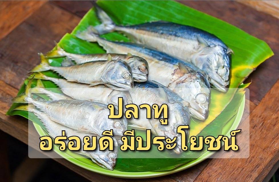 รูปภาพหน้าปก 0d31bf8b-26b9-48d2-8f09-a6be66a05932