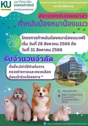 รูปภาพหน้าปก 041ffc1b-d829-4164-a150-b97b6a924e5c
