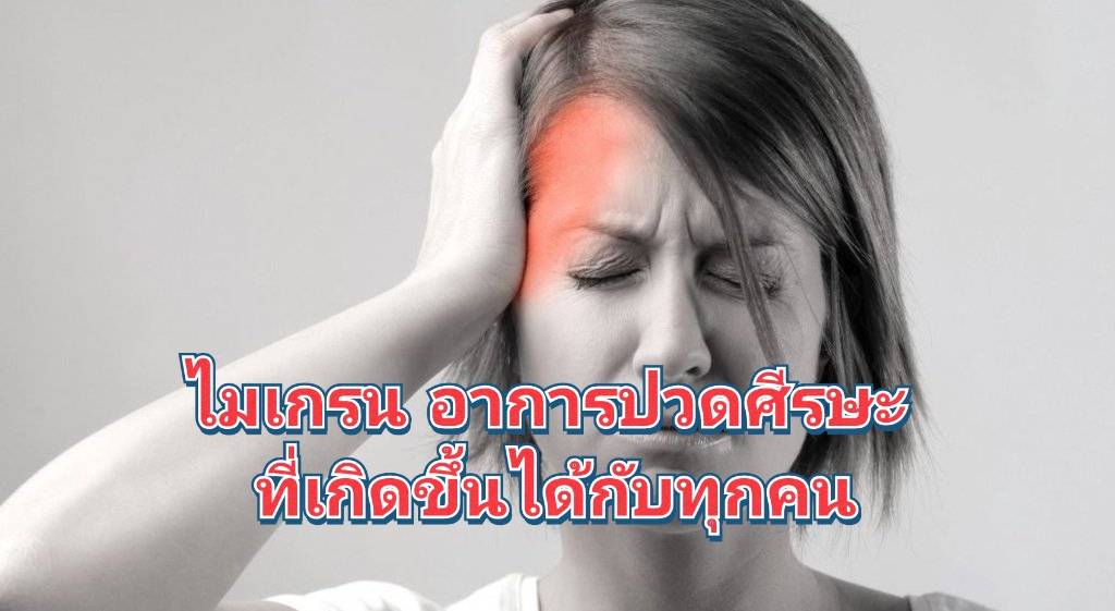 รูปภาพหน้าปก 8aa87423-5d03-41ff-8b34-873fc2c9c0bf