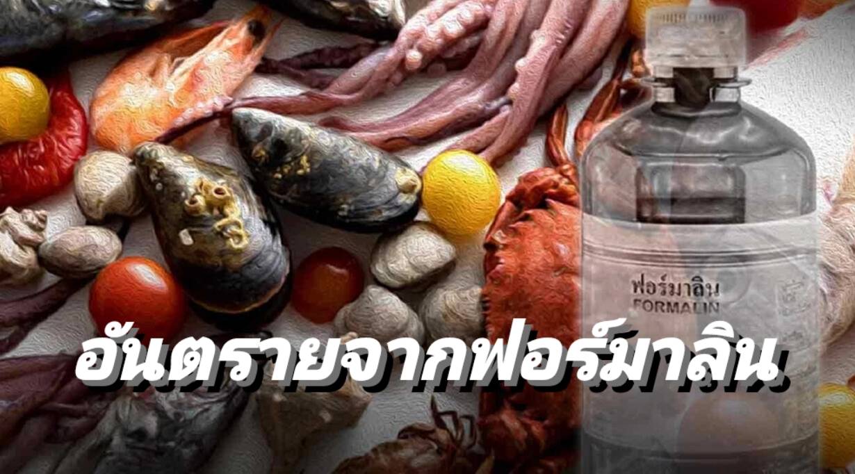 รูปภาพหน้าปก 63444c61-b9c0-4e3f-a67c-24f019f20763