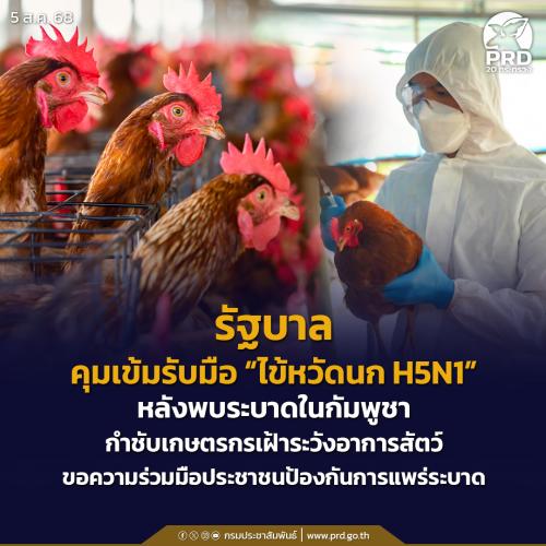 รูปภาพหน้าปก 6e416fc9-f17b-4426-b651-db8f4237c5e0