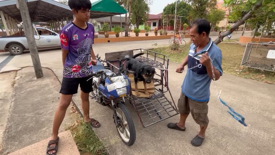 รูปภาพหน้าปก 371e3c3f-22c2-4734-bab4-7bca41020c3e
