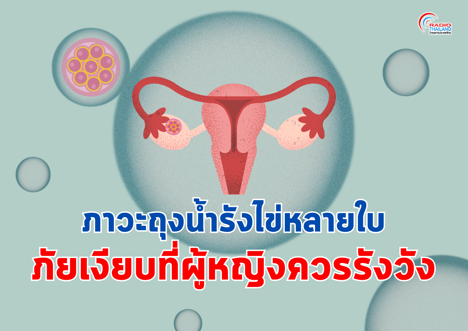 รูปภาพหน้าปก aed6eb5b-072e-4080-86f5-f4192cddbbaf