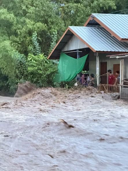 รูปภาพหน้าปก 2a6d3489-a3c1-4e63-9b39-881b9c9d36f0
