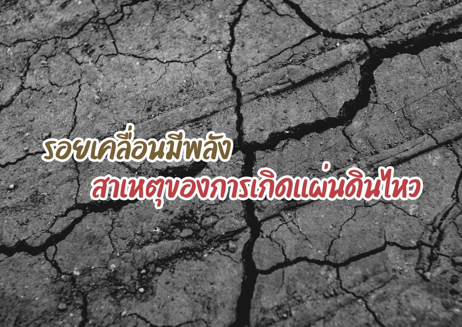 รูปภาพหน้าปก 1df2fa25-c5fb-44af-8833-1914df808ae5