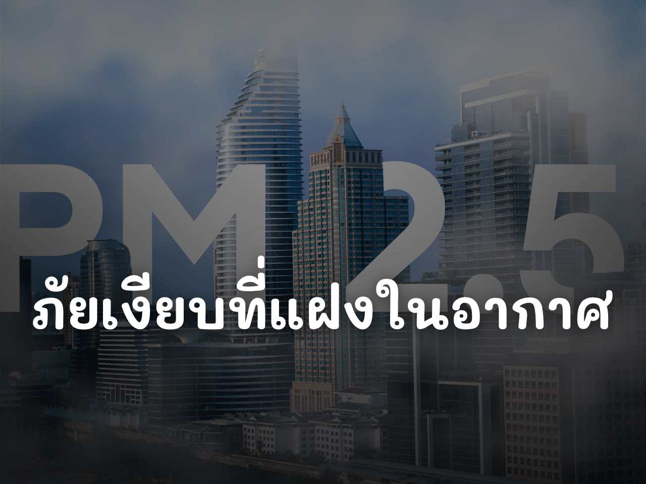 รูปภาพหน้าปก fb841b49-4269-4fab-8260-2be81fcacd01