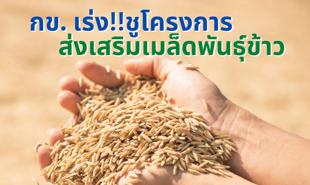 รูปภาพหน้าปก 72b7ff24-f4d4-4ccb-8573-3cb276b232af