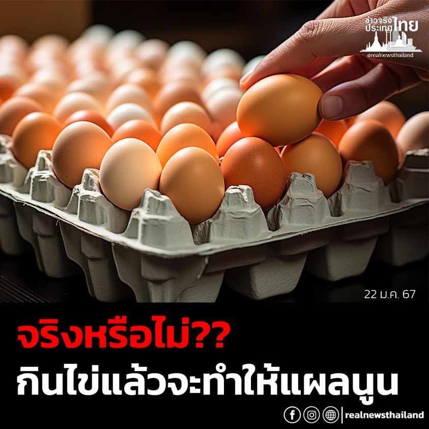 รูปภาพหน้าปก 9a63d3e8-1203-4e24-aef3-9fb4e06aa34d