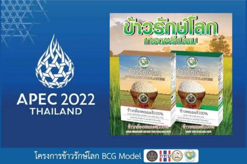 รูปภาพหน้าปก a2da66a9-4e67-4c1c-a86c-0ac32cb1b01b