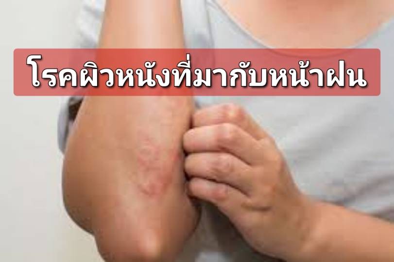 รูปภาพหน้าปก 012baf90-fbdb-44f9-ad27-003ce2862480