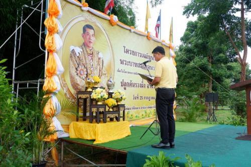 รูปภาพหน้าปก 32812485-1362-4ecd-a2e6-507f24370888