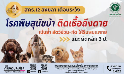รูปภาพหน้าปก 696f2f55-1c16-4aac-9d16-036226c1f53a