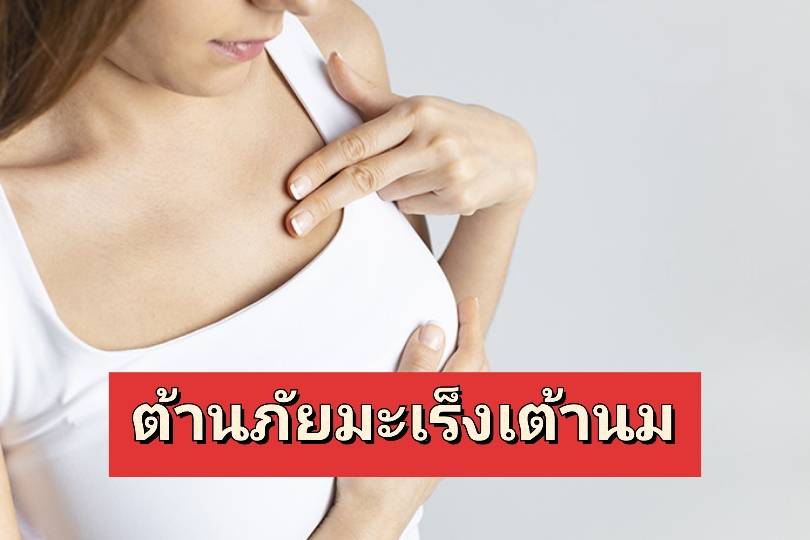 รูปภาพหน้าปก 1b85efea-20ea-4f2d-86d6-e3be46b866f0