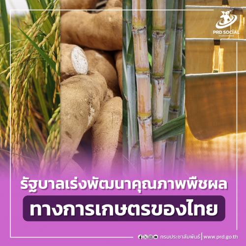 รูปภาพหน้าปก 012d19ad-1e9a-43fa-818e-193d455d5625