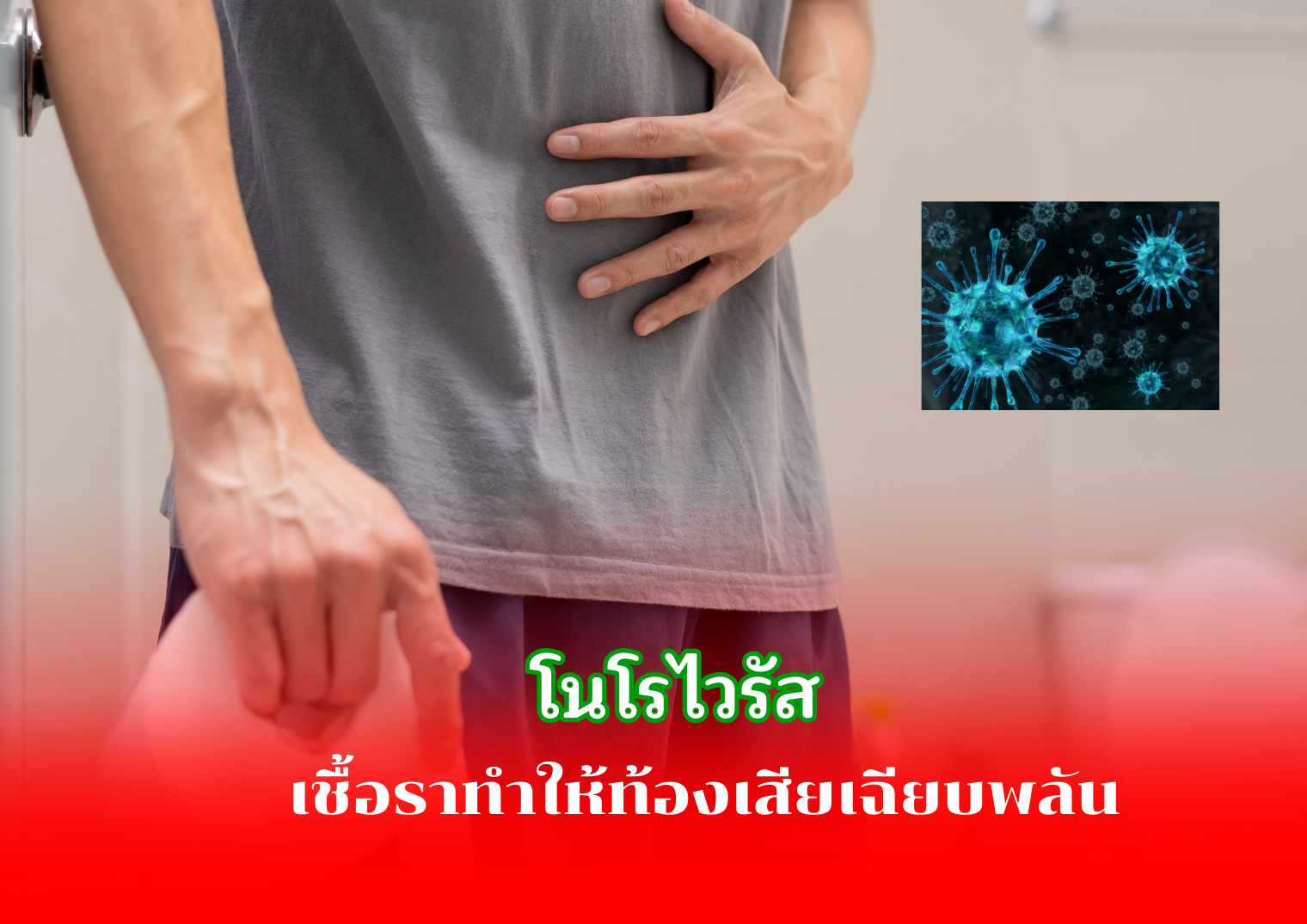 รูปภาพหน้าปก 0c8be997-e76a-431b-8477-9f4c89747484