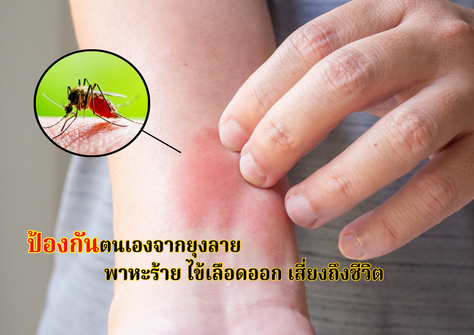 รูปภาพหน้าปก 17c1dc80-68c3-42ce-b441-c9c1d1e3511b