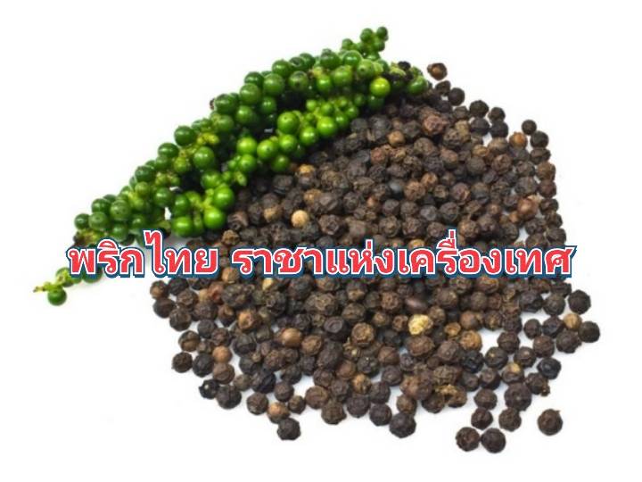 รูปภาพหน้าปก aef486b3-c8cb-4933-a52f-66c61d55e595