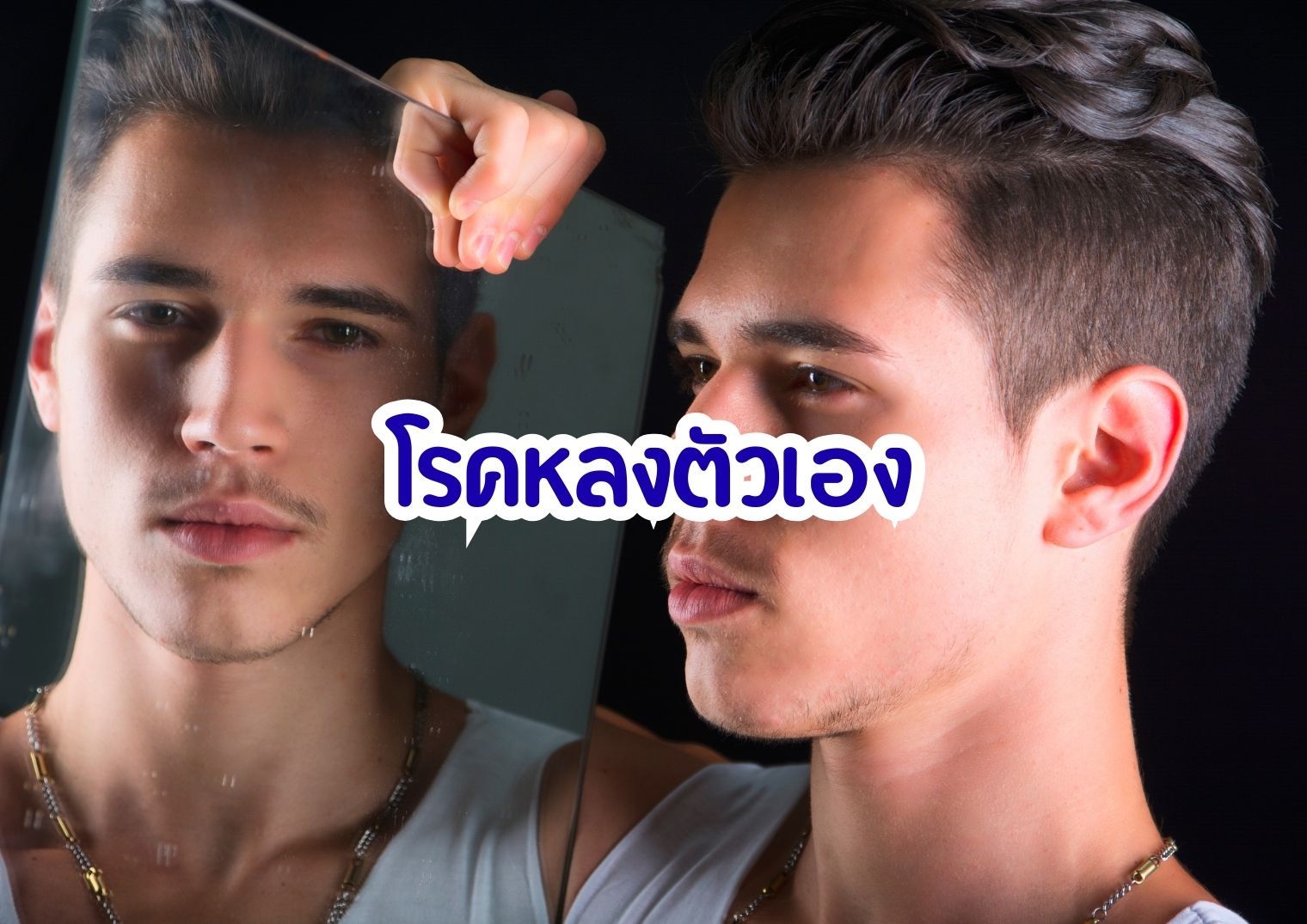 รูปภาพหน้าปก 68d3793d-8e87-4305-821f-5e0263f90516