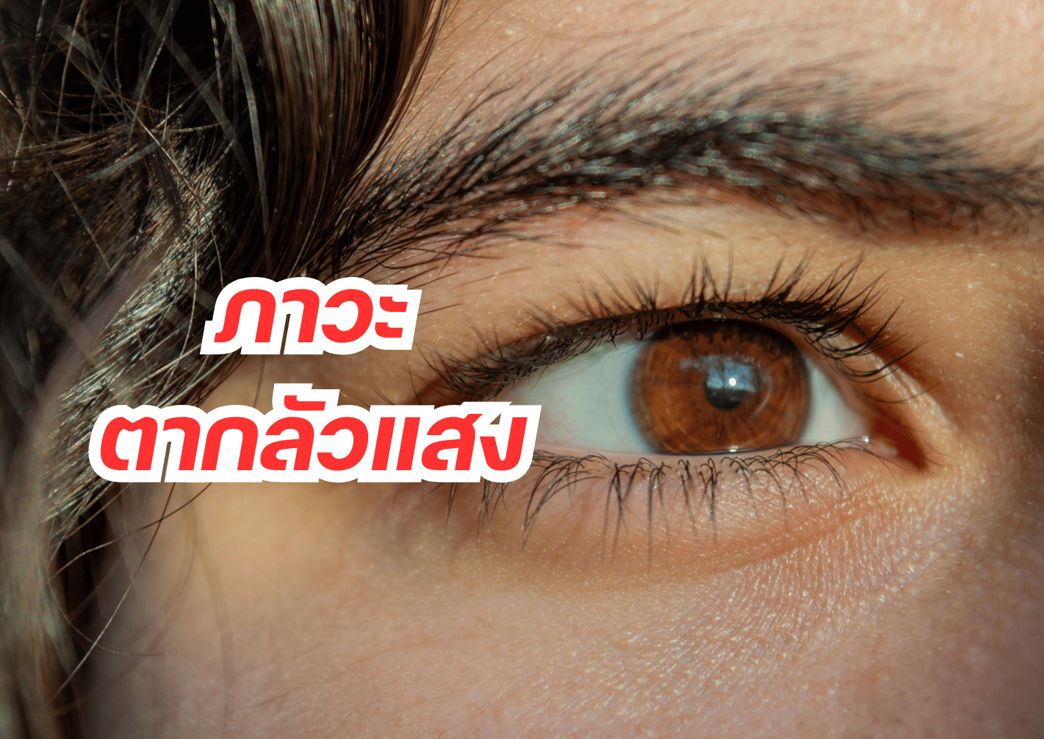 รูปภาพหน้าปก ff7f1a43-94ad-41b2-a171-81de71ab3227