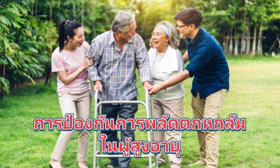 รูปภาพหน้าปก 31e6b57f-78a5-4cec-be82-d13aac95868f