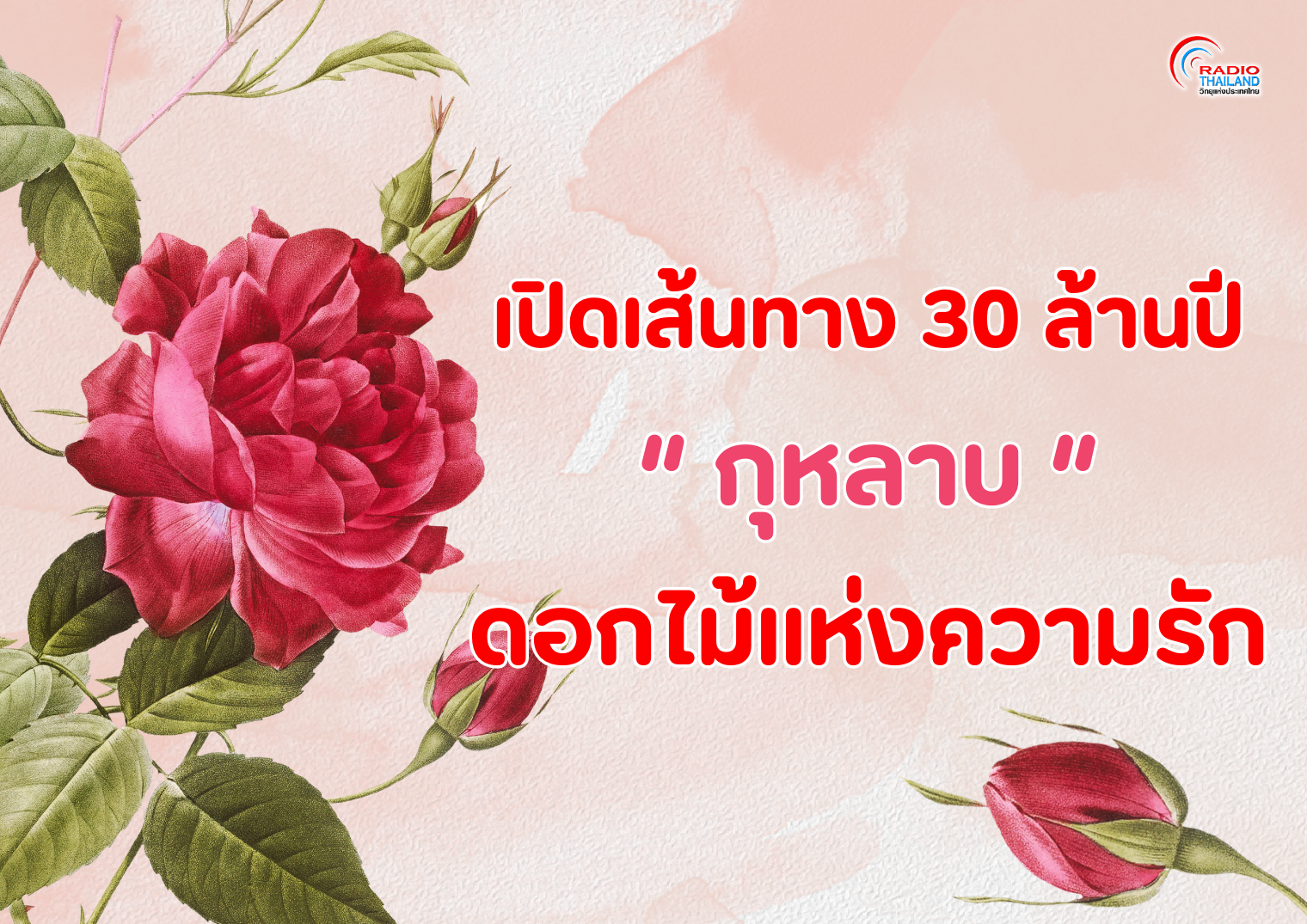 รูปภาพหน้าปก 5a7ed54c-a3cf-4266-bbcb-f3b12a1be290