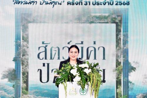 รูปภาพหน้าปก 3c36e2b8-019d-4c0f-a8ec-1c155dffe2aa