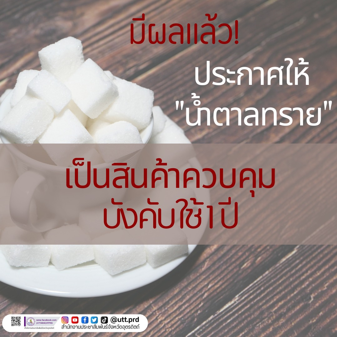 รูปภาพหน้าปก dc13ccc9-364b-4ae9-acc0-efb127312e06