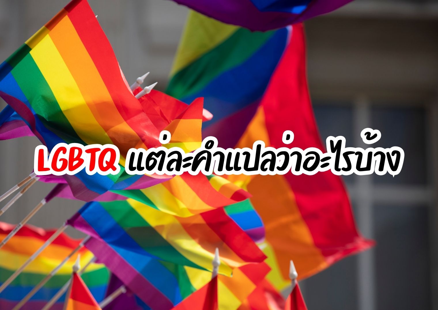 รูปภาพหน้าปก db61973c-500e-49f7-bc8d-c5ccaae05244