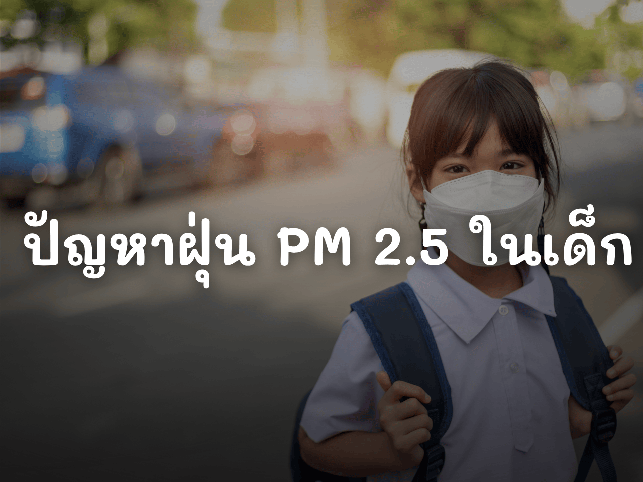 รูปภาพหน้าปก 345bdd5a-bb68-4459-a6f4-1c46005d117a