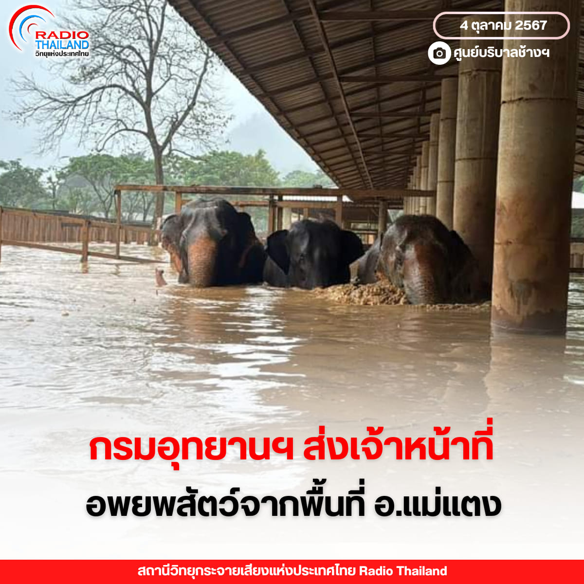 รูปภาพหน้าปก 450a6736-44bf-4ca2-98b2-e4eb164d8fb0