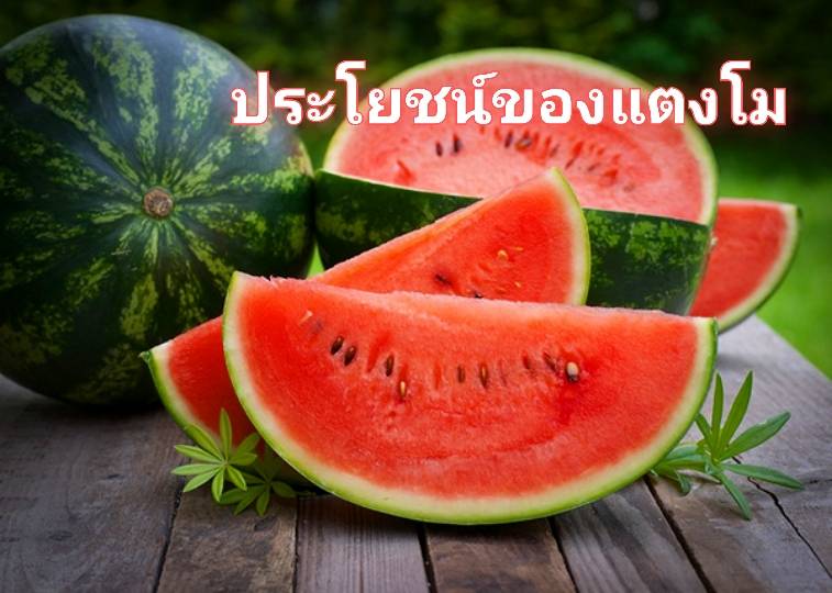 รูปภาพหน้าปก 0e59dcc0-6f81-4637-a080-19e521c3a959
