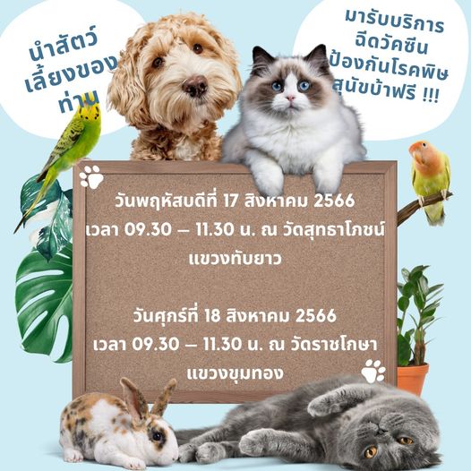 รูปภาพหน้าปก 95450e70-a9b9-4b5b-b091-f0ccf92d5d67