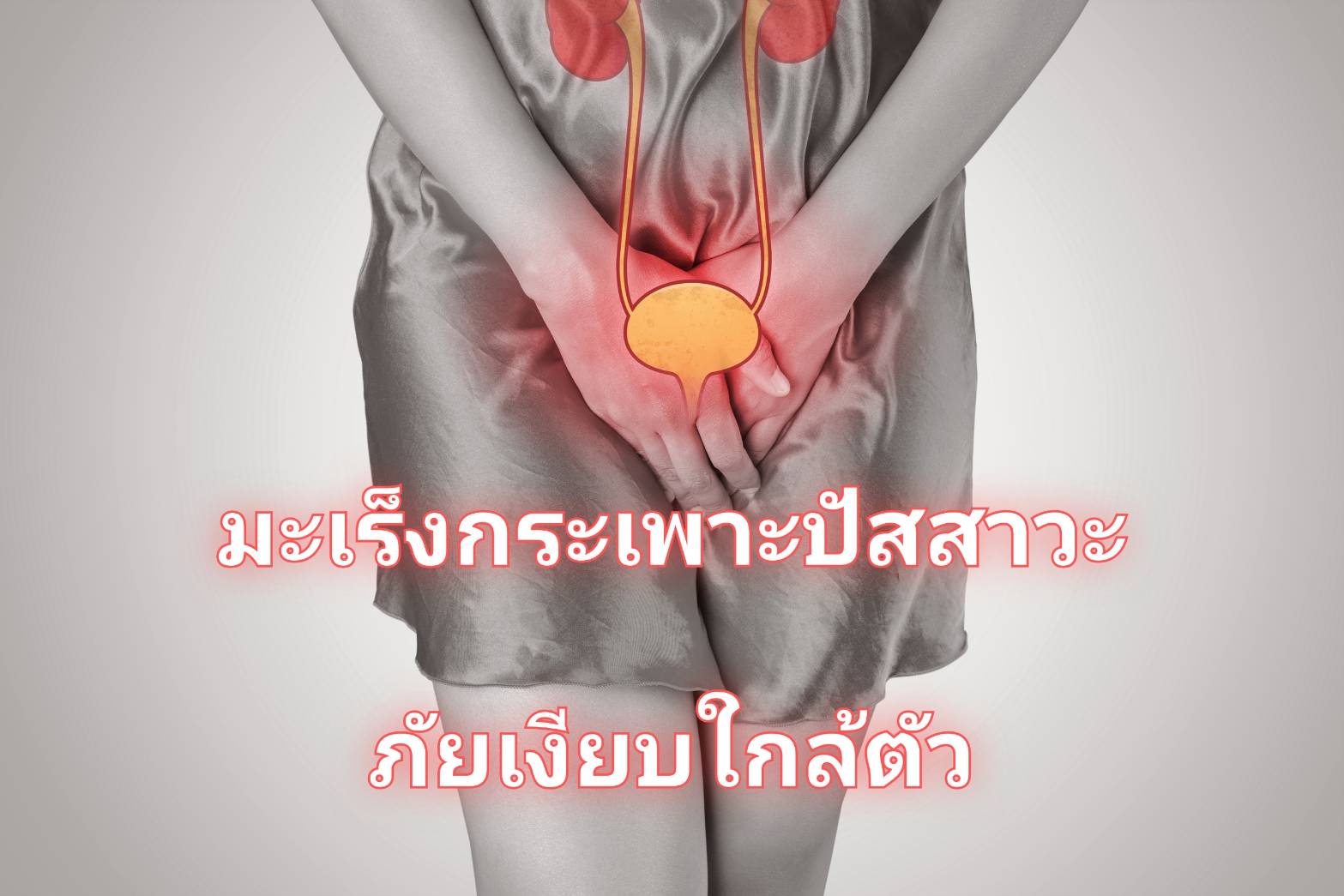 รูปภาพหน้าปก 5f447885-ba13-4731-85e6-e4d82e178ec2