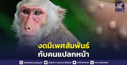 รูปภาพหน้าปก 3eaefc2f-a695-407b-b0a6-a20983268804