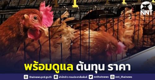 รูปภาพหน้าปก 2c38f4c6-6ab0-4f3b-b5ca-46f53d333ab6
