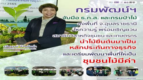 รูปภาพหน้าปก 1165d2a9-0cfe-4b5a-a96e-fc0c155f89c6