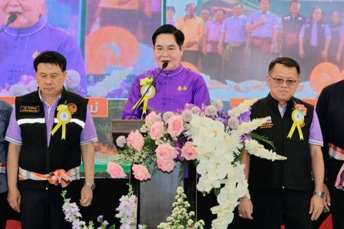 รูปภาพหน้าปก 8cce84e9-6566-46e9-86b1-53b88ef4e67a