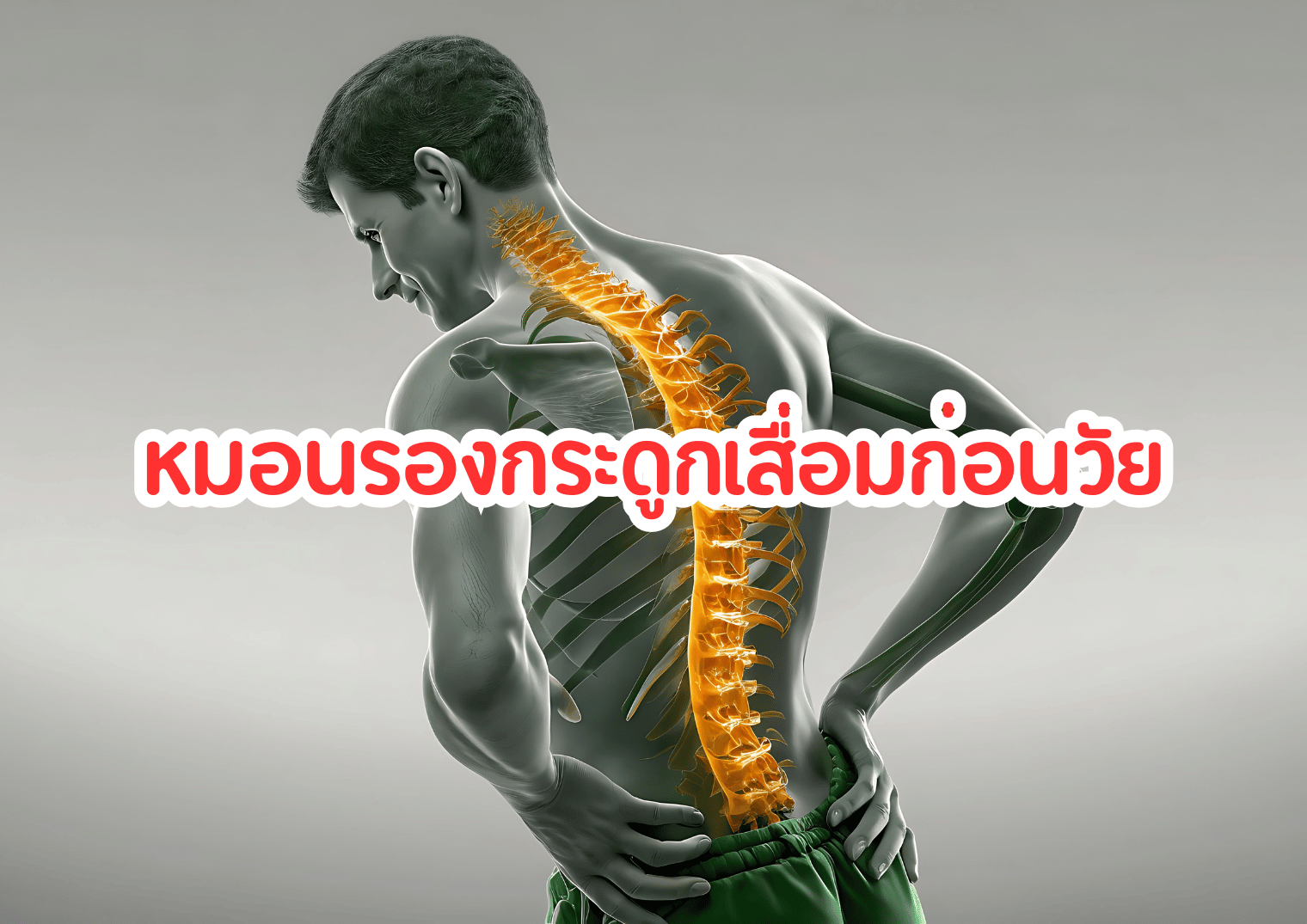 รูปภาพหน้าปก 8e91a08a-a1f6-4149-a4f0-04d790486481