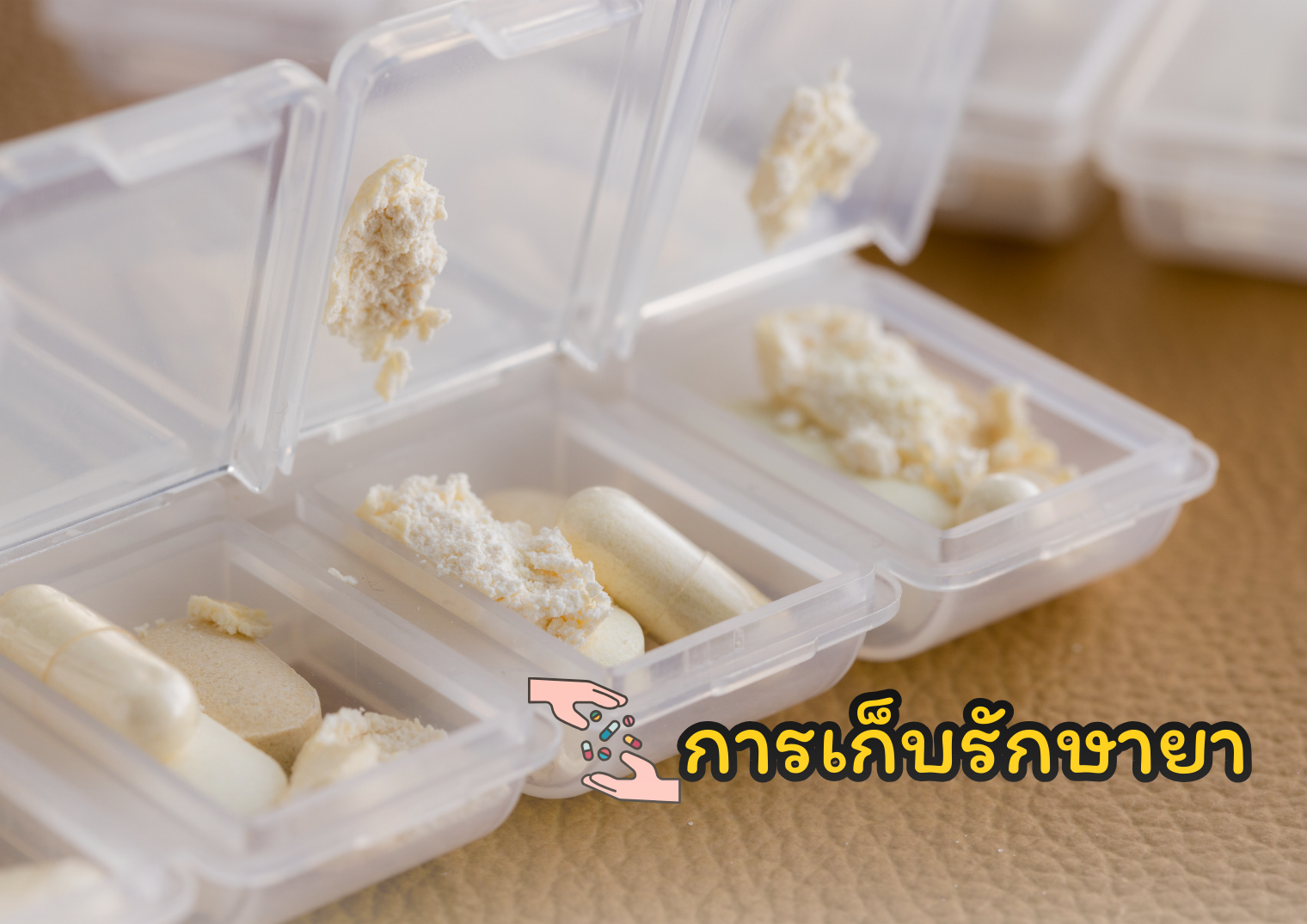 รูปภาพหน้าปก f0d26e77-259b-4284-8bdc-d438b7f08910